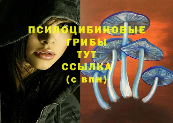 прущие грибы Лихославль