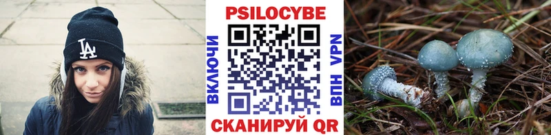 Галлюциногенные грибы мицелий Курчатов